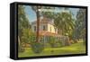 Edison Home, Ft. Myers, Florida-null-Framed Stretched Canvas