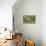 Edison Home, Ft. Myers, Florida-null-Stretched Canvas displayed on a wall