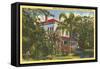 Edison Home, Ft. Myers, Florida-null-Framed Stretched Canvas