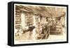 Edison's Laboratory, Greenfield Village, Dearborn, Michigan-null-Framed Stretched Canvas