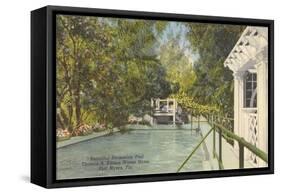 Edison Swimming Pool, Ft. Myers, Florida-null-Framed Stretched Canvas