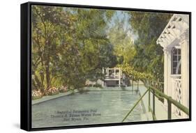 Edison Swimming Pool, Ft. Myers, Florida-null-Framed Stretched Canvas