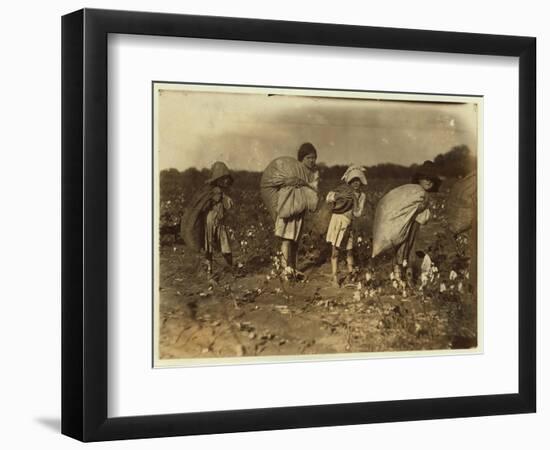 Edith 5 and Hughie 6 Pick Cotton All Day-Lewis Wickes Hine-Framed Photographic Print