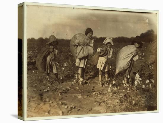 Edith 5 and Hughie 6 Pick Cotton All Day-Lewis Wickes Hine-Stretched Canvas