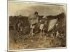 Edith 5 and Hughie 6 Pick Cotton All Day-Lewis Wickes Hine-Mounted Photographic Print