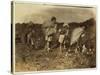 Edith 5 and Hughie 6 Pick Cotton All Day-Lewis Wickes Hine-Stretched Canvas