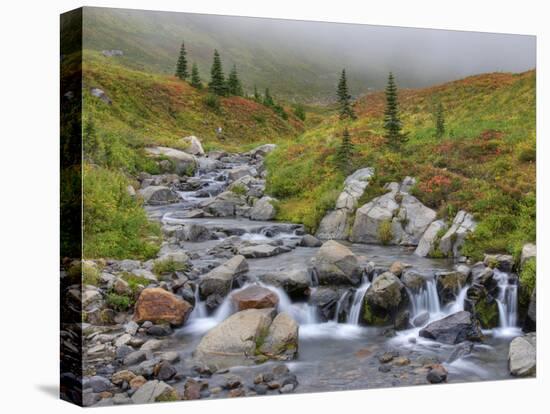 Edith Creek, Mt. Rainier National Park, Washington, Usa-Jamie & Judy Wild-Stretched Canvas