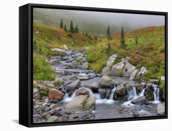 Edith Creek, Mt. Rainier National Park, Washington, Usa-Jamie & Judy Wild-Framed Stretched Canvas