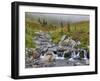 Edith Creek, Mt. Rainier National Park, Washington, Usa-Jamie & Judy Wild-Framed Photographic Print