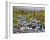 Edith Creek, Mt. Rainier National Park, Washington, Usa-Jamie & Judy Wild-Framed Photographic Print