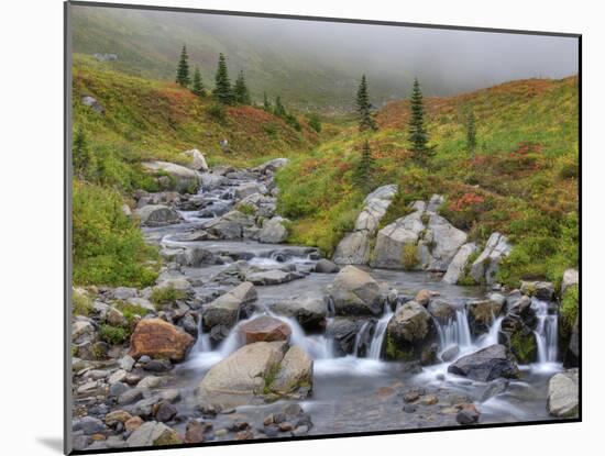 Edith Creek, Mt. Rainier National Park, Washington, Usa-Jamie & Judy Wild-Mounted Photographic Print