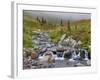 Edith Creek, Mt. Rainier National Park, Washington, Usa-Jamie & Judy Wild-Framed Photographic Print