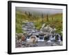 Edith Creek, Mt. Rainier National Park, Washington, Usa-Jamie & Judy Wild-Framed Photographic Print