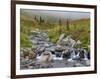 Edith Creek, Mt. Rainier National Park, Washington, Usa-Jamie & Judy Wild-Framed Photographic Print