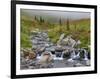 Edith Creek, Mt. Rainier National Park, Washington, Usa-Jamie & Judy Wild-Framed Photographic Print