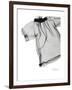 Editorial X-Ray Blouse 1-Albert Koetsier-Framed Premium Giclee Print