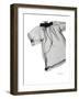 Editorial X-Ray Blouse 1-Albert Koetsier-Framed Premium Giclee Print