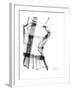 Editorial X-Ray Blouse 2-Albert Koetsier-Framed Premium Giclee Print