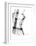 Editorial X-Ray Blouse 2-Albert Koetsier-Framed Premium Giclee Print