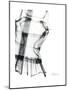 Editorial X-Ray Blouse 2-Albert Koetsier-Mounted Premium Giclee Print