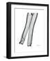 Editorial X-Ray Denim 1-Albert Koetsier-Framed Premium Giclee Print