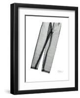 Editorial X-Ray Denim 2-Albert Koetsier-Framed Premium Giclee Print