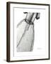 Editorial X-Ray Dress 2-Albert Koetsier-Framed Premium Giclee Print