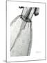 Editorial X-Ray Dress 2-Albert Koetsier-Mounted Premium Giclee Print