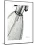 Editorial X-Ray Dress 2-Albert Koetsier-Mounted Premium Giclee Print