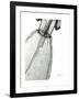 Editorial X-Ray Dress 2-Albert Koetsier-Framed Premium Giclee Print