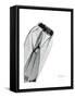 Editorial X-Ray Pants 1-Albert Koetsier-Framed Stretched Canvas