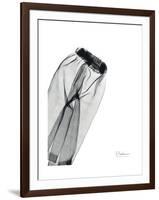 Editorial X-Ray Pants 1-Albert Koetsier-Framed Premium Giclee Print