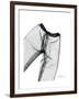 Editorial X-Ray Pants 2-Albert Koetsier-Framed Premium Giclee Print