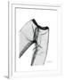 Editorial X-Ray Pants 2-Albert Koetsier-Framed Premium Giclee Print