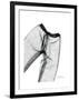 Editorial X-Ray Pants 2-Albert Koetsier-Framed Premium Giclee Print