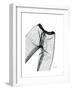 Editorial X-Ray Pants 2-Albert Koetsier-Framed Premium Giclee Print