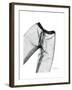 Editorial X-Ray Pants 2-Albert Koetsier-Framed Premium Giclee Print