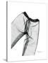 Editorial X-Ray Pants 2-Albert Koetsier-Stretched Canvas