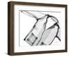 Editorial X-Ray Shirt-Albert Koetsier-Framed Art Print