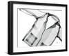 Editorial X-Ray Shirt-Albert Koetsier-Framed Art Print