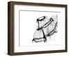 Editorial X-Ray Skirt-Albert Koetsier-Framed Premium Giclee Print