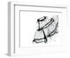 Editorial X-Ray Skirt-Albert Koetsier-Framed Premium Giclee Print