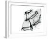 Editorial X-Ray Skirt-Albert Koetsier-Framed Premium Giclee Print