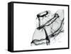 Editorial X-Ray Skirt-Albert Koetsier-Framed Stretched Canvas