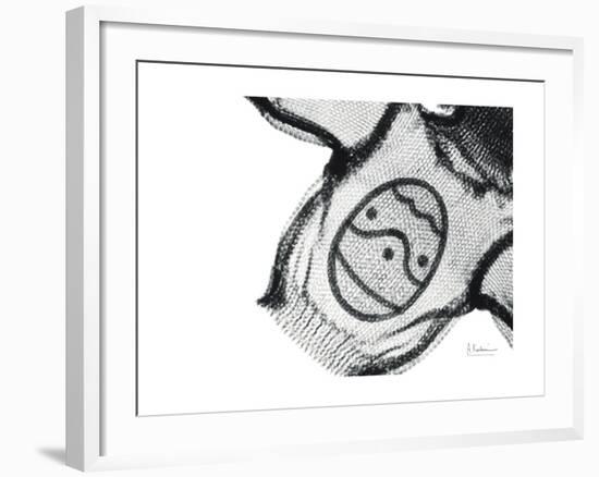 Editorial X-Ray Sweater-Albert Koetsier-Framed Premium Giclee Print