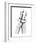 Editorial X-Ray-Albert Koetsier-Framed Premium Giclee Print