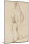Wood Mount