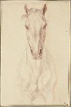 Cheval debout, vu de dos-Edme Bouchardon-Giclee Print
