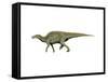 Edmontosaurus Dinosaur-null-Framed Stretched Canvas
