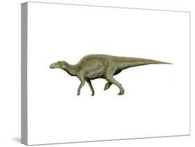 Edmontosaurus Dinosaur-null-Stretched Canvas